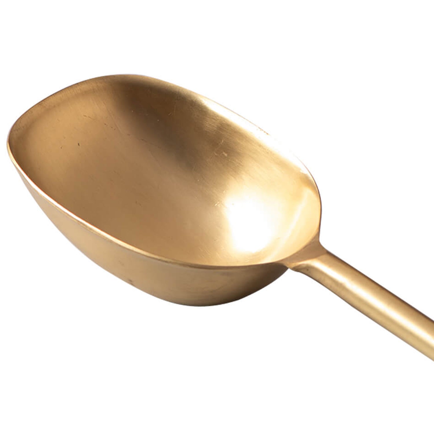 Gallant Stainless Steel Ice scoop in Gold Color
