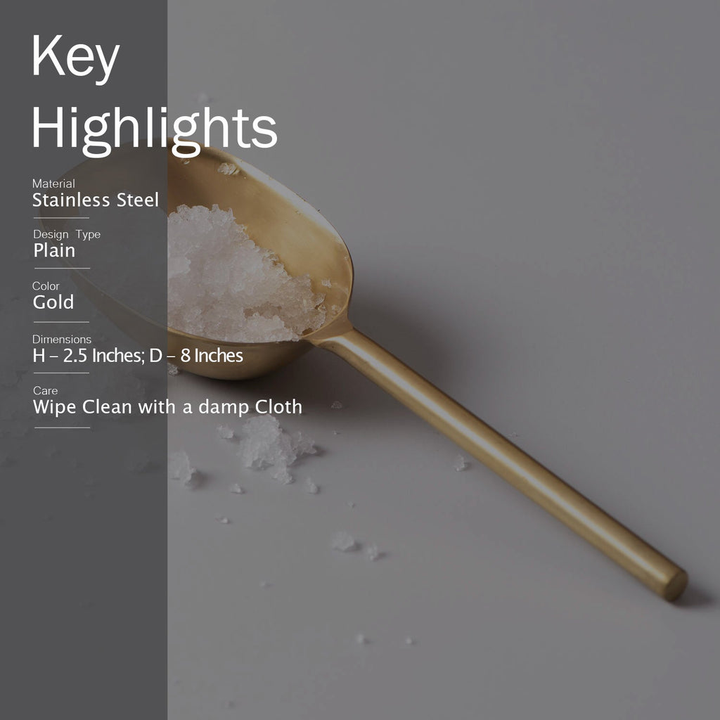 Gallant Stainless Steel Ice scoop in Gold Color