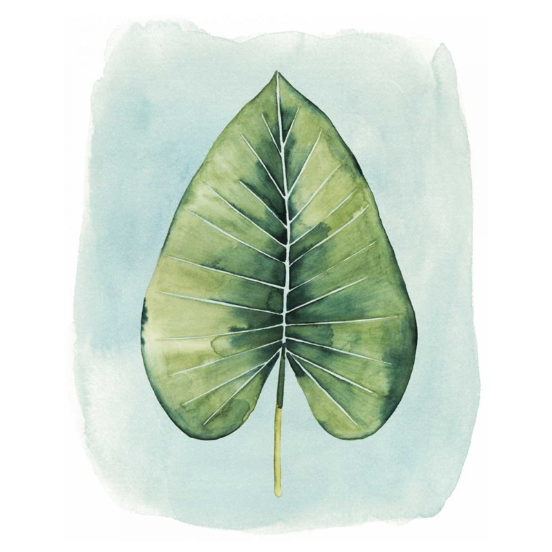 Paradise Palm Leaves III