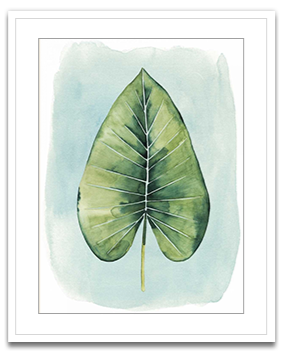 Paradise Palm Leaves III