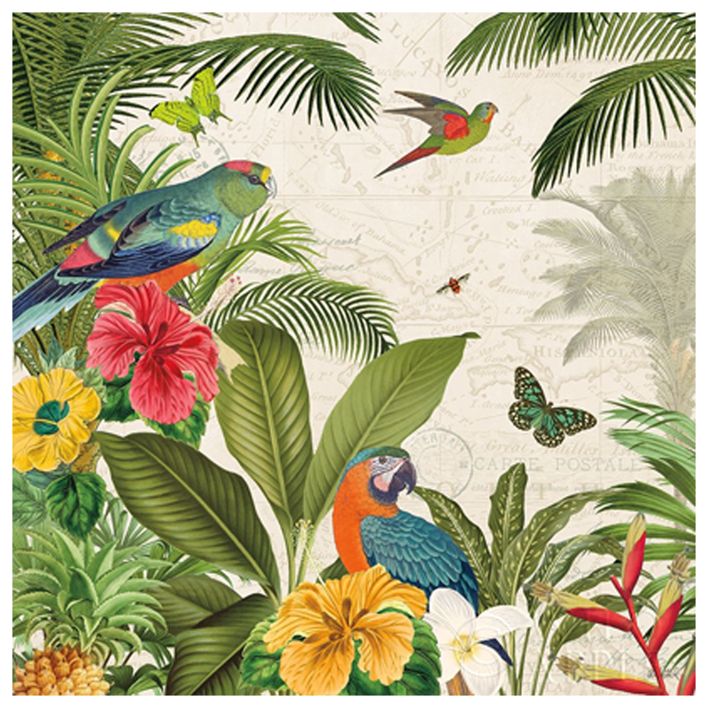 Parrot Paradise II